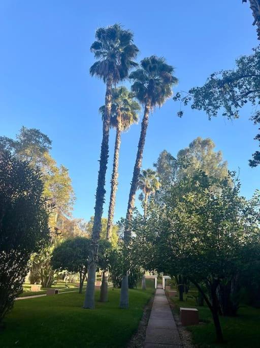 Somptueux Appartement Jardin & Piscine - Hivernage Marrakesh Eksteriør bilde